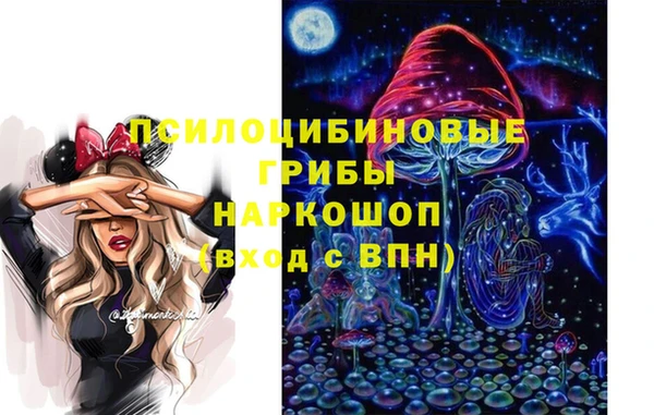 а пвп мука Сатка