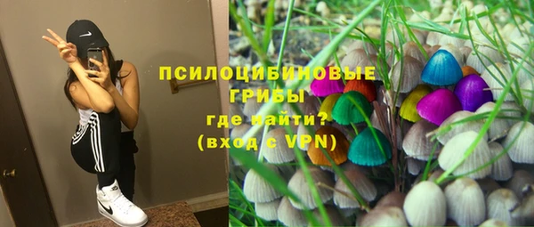 дживик Арсеньев